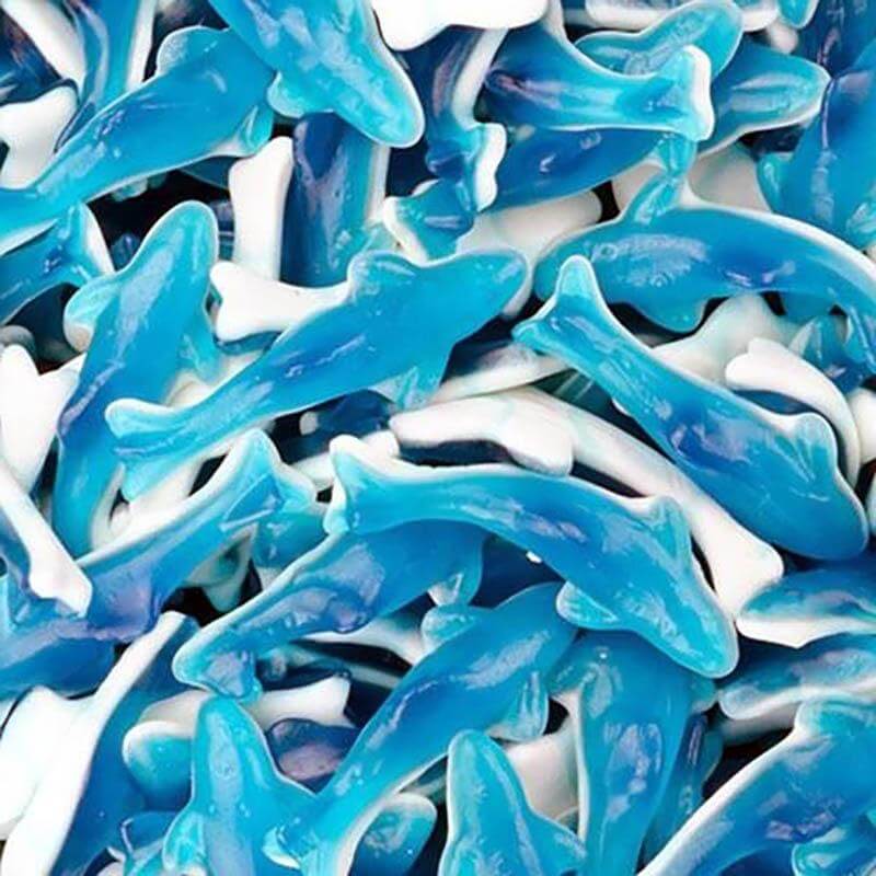 Giant Blue Dolphins 100g