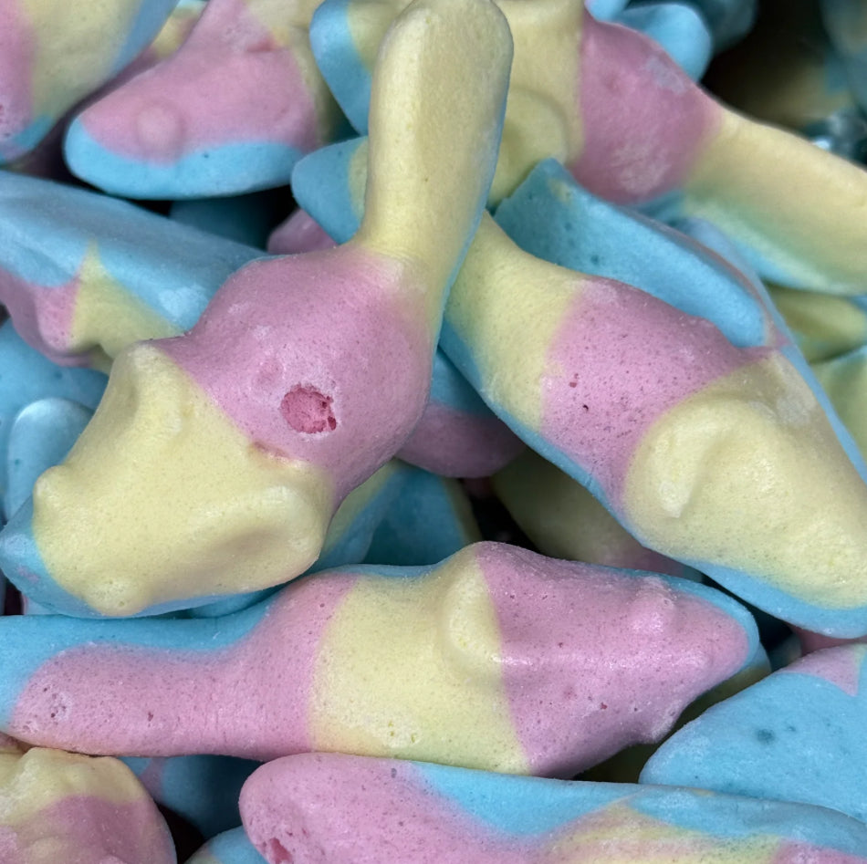 Stunning Freeze Dried Mice image